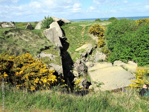 fallen structure covered in flowers and grass