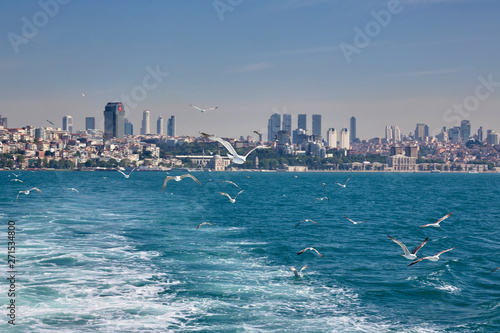 Boat, sea, seagulls and the city of Istanbul © Dmitriy