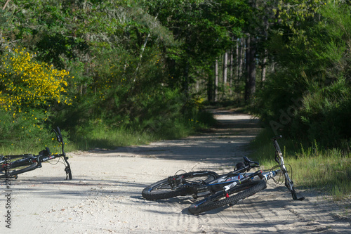 vélos en forêt