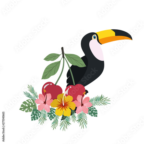 pattern of toucan and summer flower