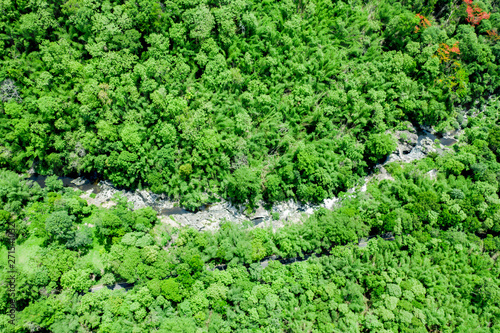 The aerial image of a high angle image in a national park sees green trees covered throughout the area in the middle, with rocks and streams.