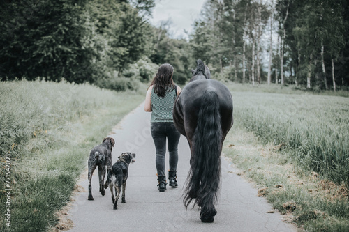 Frau mit Pferd und Hunden