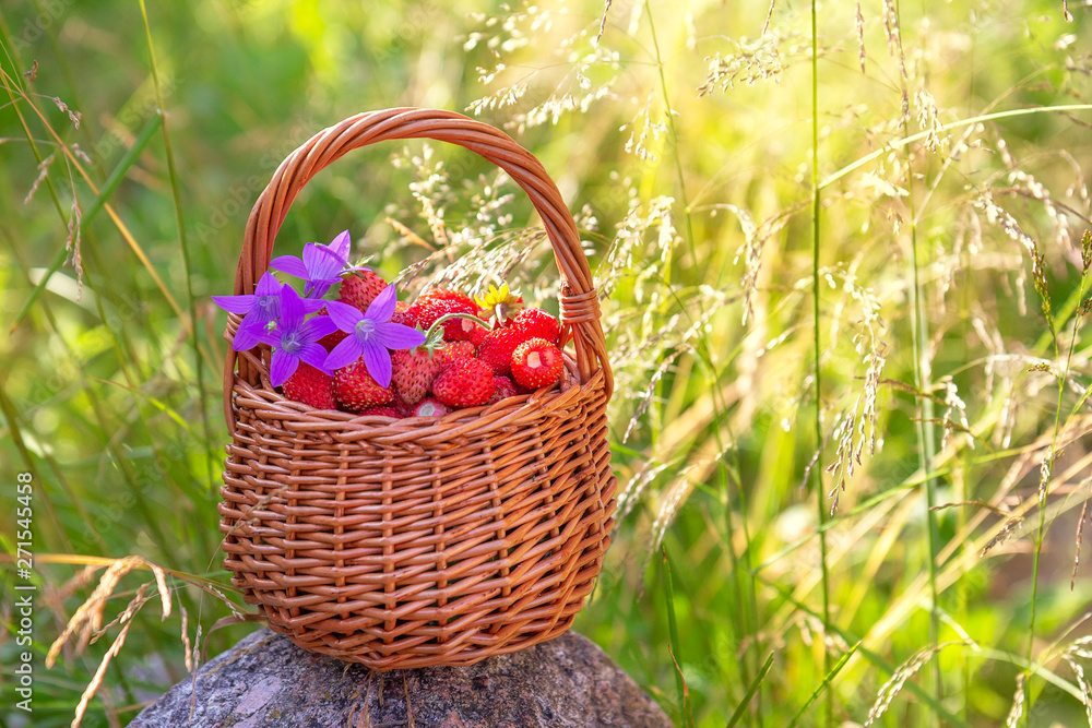 Full basket of fresh strawberries and flowers bluebells with summer foliage and sun in the background. The concept of summer, rest, pleasure, healthy eating. Copy space Full basket of fresh strawberries and flowers bluebells with summer foliage and sun in the background. The concept of summer, rest, pleasure, healthy eating. Copy space