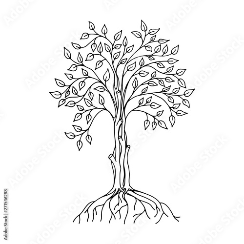 Isolated hand drawn ficus tree sketch.