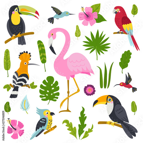 Vector set of cute birds from jungle and plants.