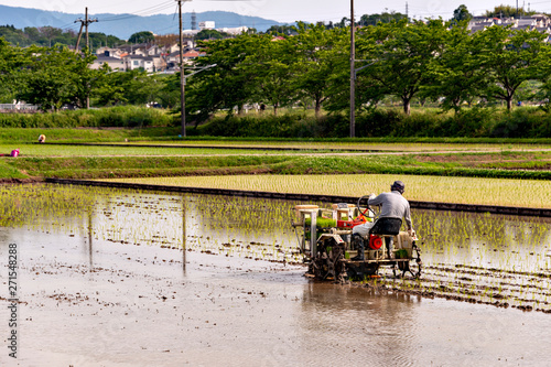 Photography Rice transplanting by machine in Japan