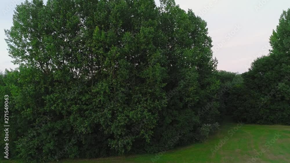 Aerial drone shot with a beautiful big tree into a small town in Leeds, England, United Kingdom - Reveal Shot- UHD at 30fps Aerial drone shot with a beautiful big tree into a small town in Leeds, England, United Kingdom - Reveal Shot- UHD at 30fps