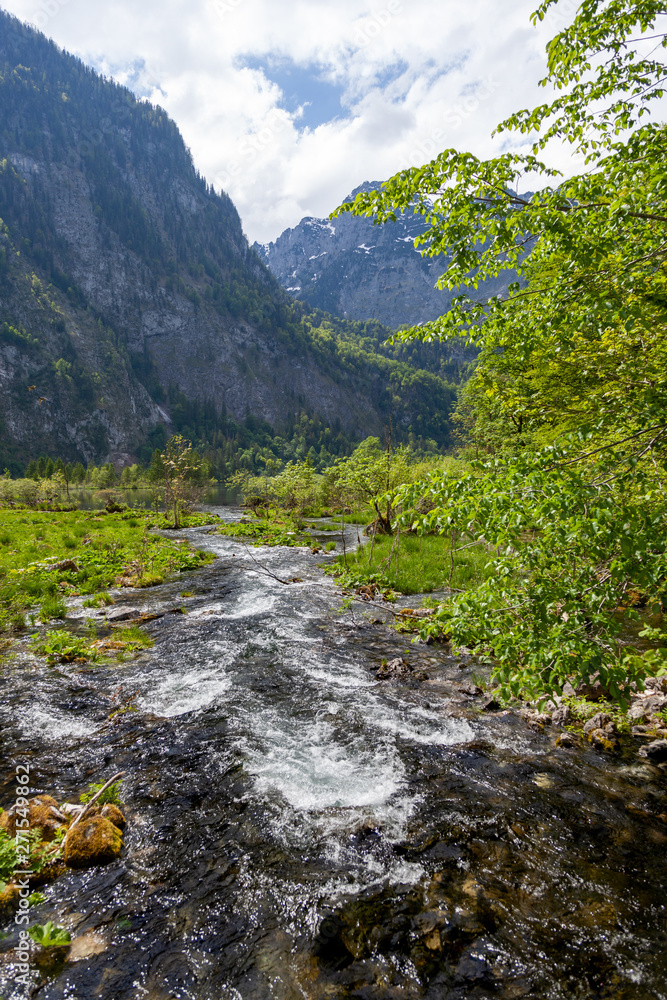 Wildbach bei sommerlichen sonnigem Wetter mit saftigem Grün, der in dne Königssee fließt Wildbach bei sommerlichen sonnigem Wetter mit saftigem Grün, der in dne Königssee fließt