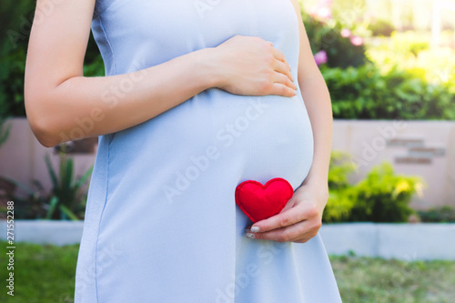 A pregnant woman in a blue dress holds in her hands a red heart in a summer park. Pregnancy, parenthood, motherhood concept. Love for children concept with copy space.