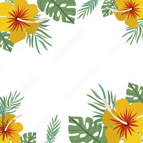 pattern of flower and leaves of summer