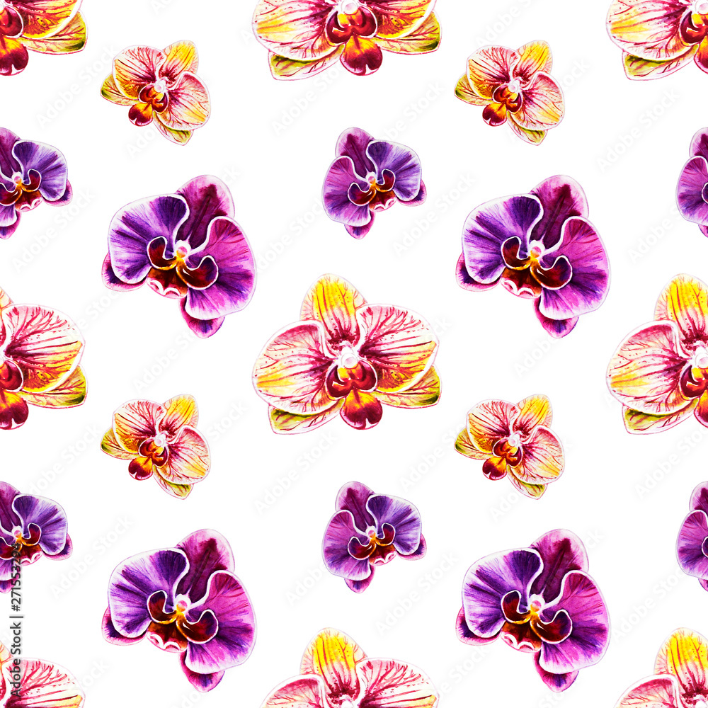 Seamless pattern from orchid flowers. Watercolor painting. Exotic plant. Floral print. Botanical composition. Wedding and birthday. Greeting card. Flower painted background. Hand drawn illustration.