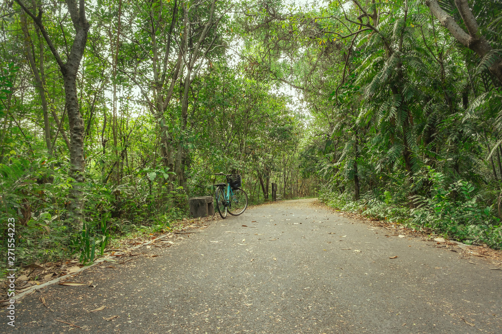 A paved road for biking surrounded by shady lush green foliage tropical forest in summer. Bang Kachao, Thailand. A paved road for biking surrounded by shady lush green foliage tropical forest in summer. Bang Kachao, Thailand.