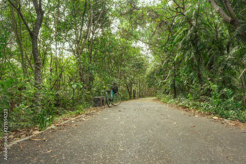 A paved road for biking surrounded by shady lush green foliage tropical forest in summer. Bang Kachao, Thailand.