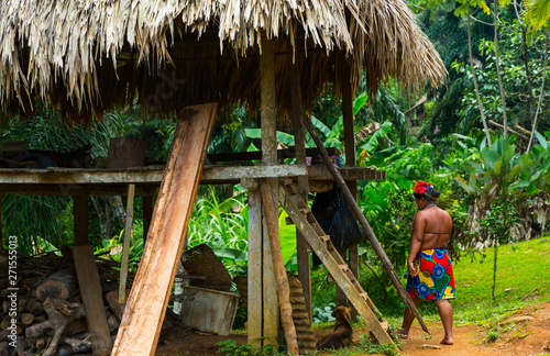 Embera Ethnic Group Community, Chagres River, Chagres National Park, Colon Province, Panama, Central America, America photo