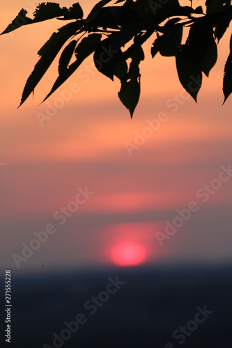 Sunset - Redsky photo