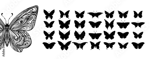 Set of butterflies, ink silhouettes. Glowworms, fireflies and butterflies icons isolated on white background. Hand drawn elements, Vector illustration.