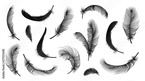 Vector feathers collection, set of different falling fluffy twirled feathers, isolated on transparent background. Realistic style, vector 3d illustration