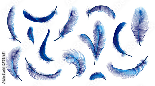 Fotografie, Obraz Vector feathers collection, set of different falling fluffy twirled feathers, isolated on transparent background
