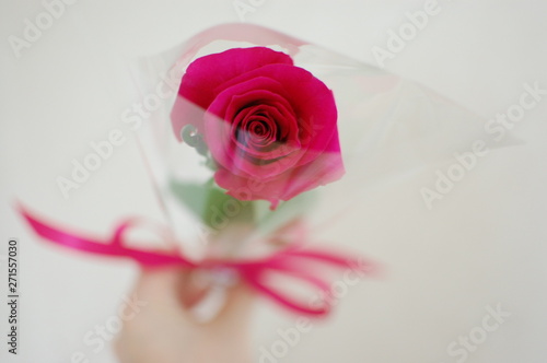 一輪の薔薇のギフト