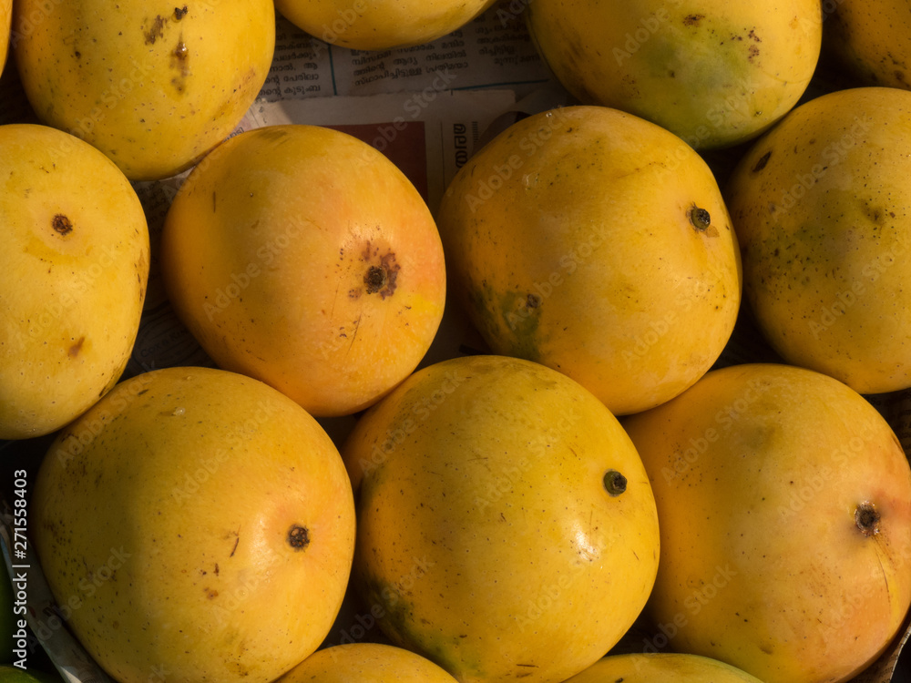 Yellow mango in the market in Kochi, Kerala, India Yellow mango in the market in Kochi, Kerala, India