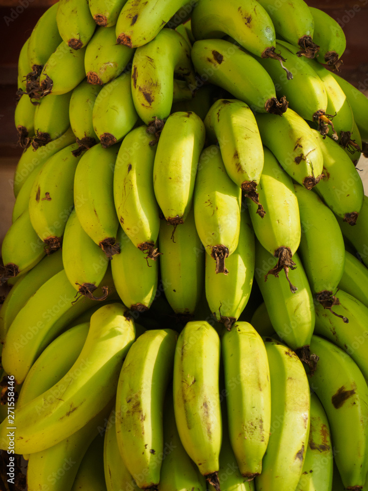 Green bananas on branch in  Kochi, Kerala