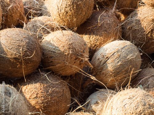 Ripe coconuts on the market in Kochi, Kerala