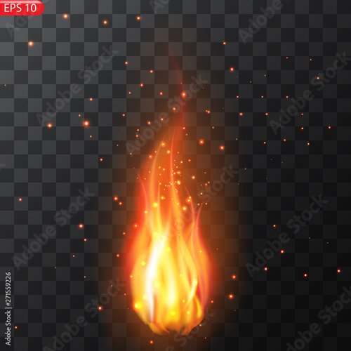 Realistic burning fire flames vector 