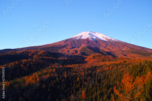 朝日を浴びて赤く輝く紅葉シーズンの富士山