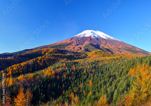 紅葉シーズンの富士山
