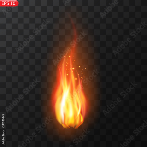 Realistic burning fire flames vector 