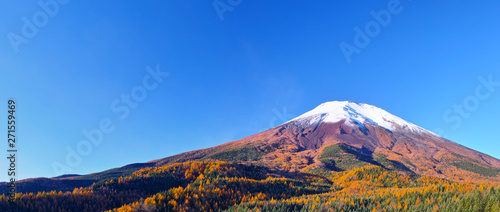 紅葉シーズンの富士山