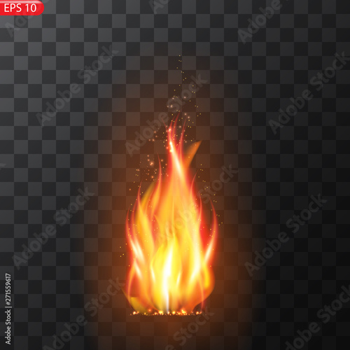 Realistic burning fire flames vector 
