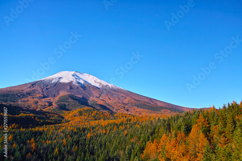 紅葉シーズンの富士山