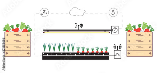 Smart farm and agriculture. Monitoring and control of temperature, humidity, light level. Cultivation of plants. New technologies. High yield.