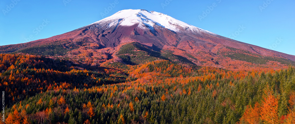 紅葉シーズンの富士山