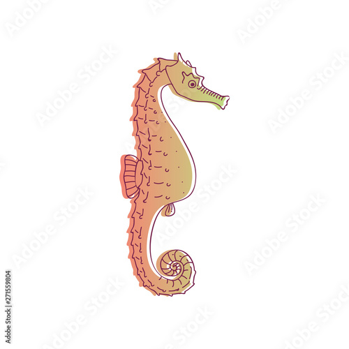 Seahorse of red color with a thin black contour. Vector illustration on white background.