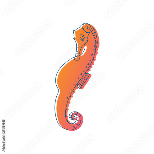 Seahorse orange is surrounded by a thin black outline. Vector illustration on white background.