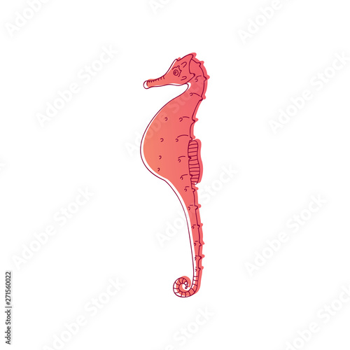 Red seahorse is surrounded by a thin black outline. Vector illustration on white background.