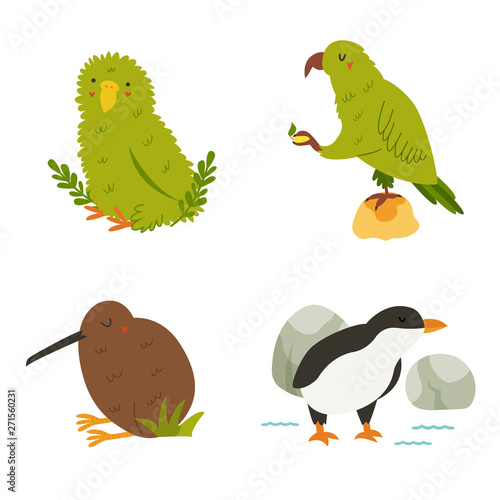 Set of New Zealand birds kea, kakapo, kiwi, penguin