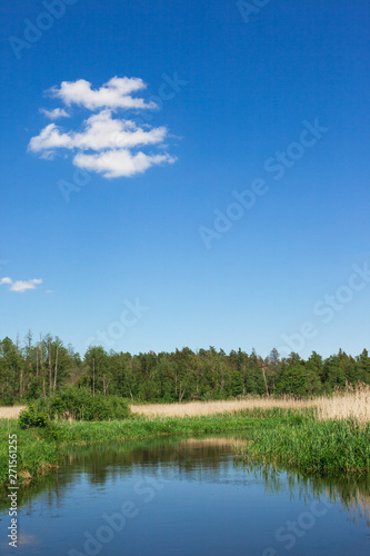 Summer forest river background. Clear, reflective pond water. Blue sky idyllic nature landscape.