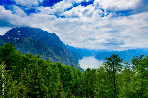 Fotografie, Obraz view from treetop walk grünberg near gmunden, austria to lake traunsee