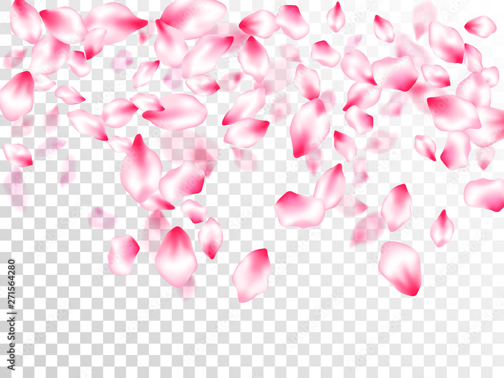 Spring tree flowers parts, airy flying petals on transparent background. Pink sakura blossom falling parts romantic vector.
