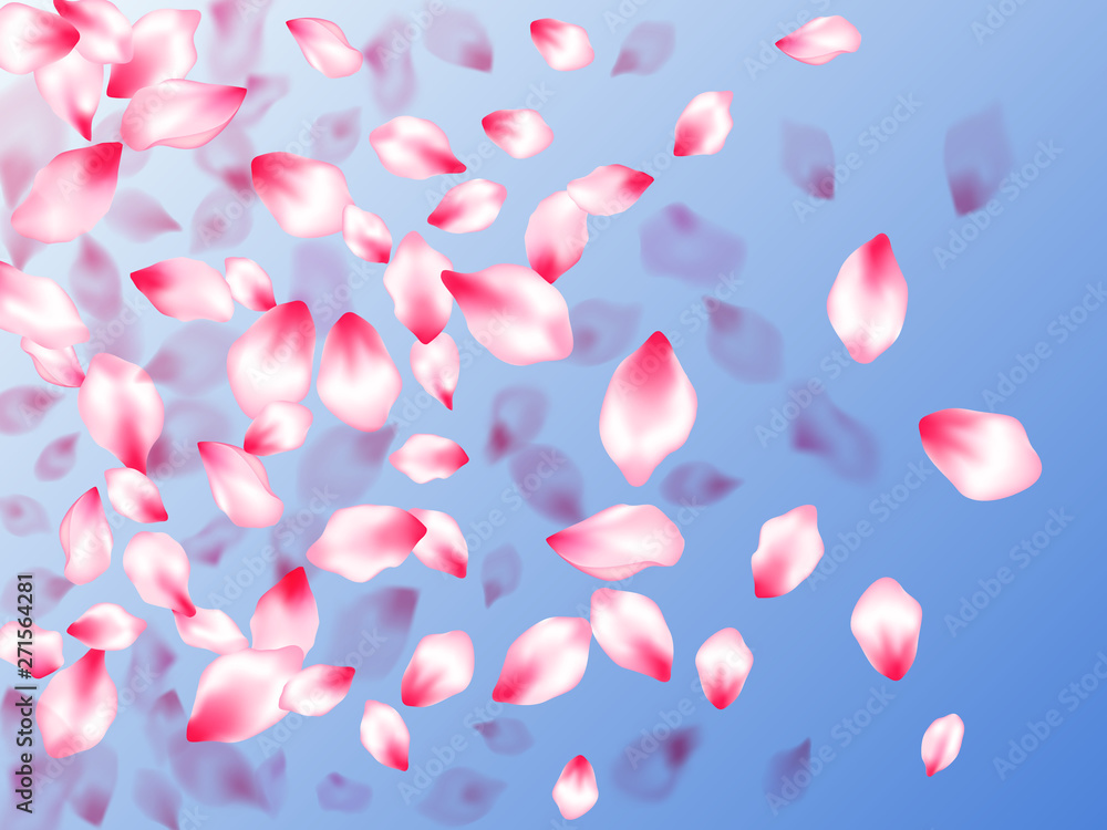 Spring tree flowers parts, airy flying petals on blue sky background. Close up bloom elements. Pastel pink blossom petals floral design. Spring tree flowers parts, airy flying petals on blue sky background. Close up bloom elements. Pastel pink blossom petals floral design.