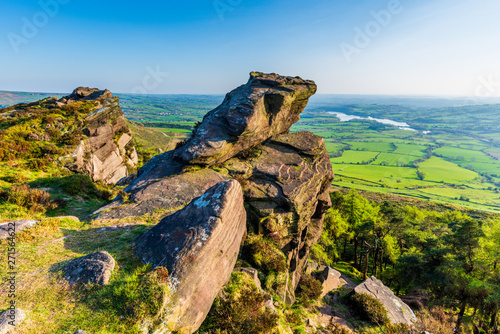 The Roaches. photo
