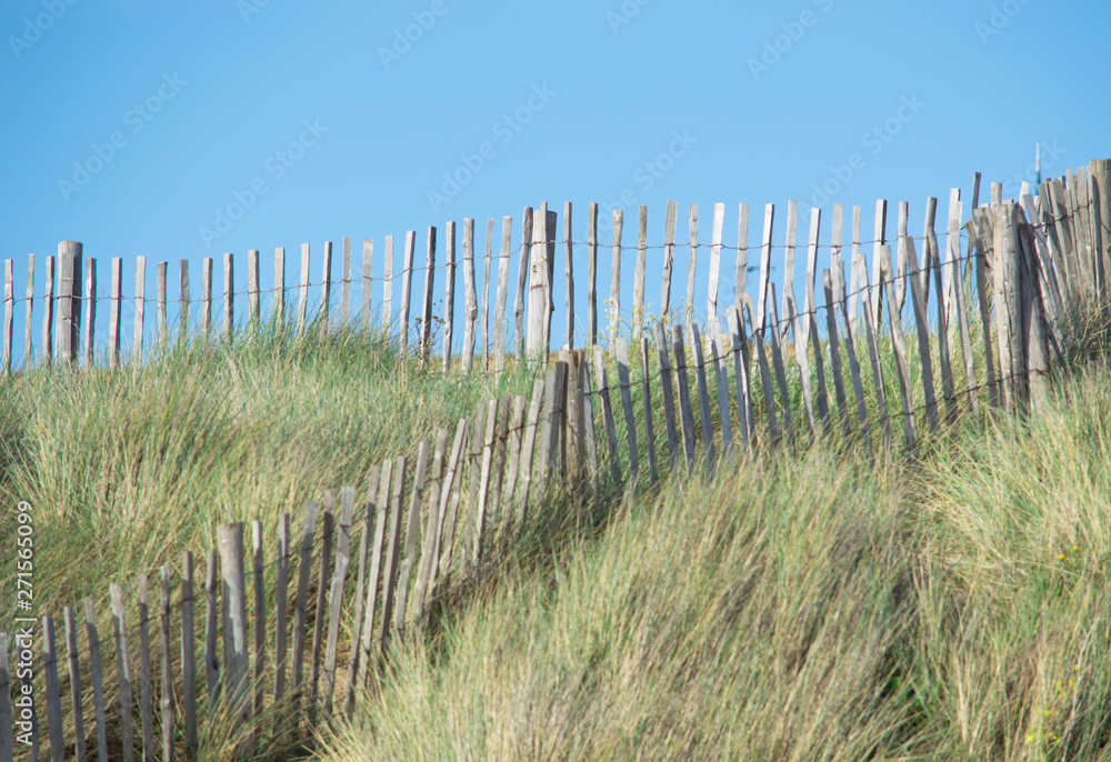 bleached dunes fence