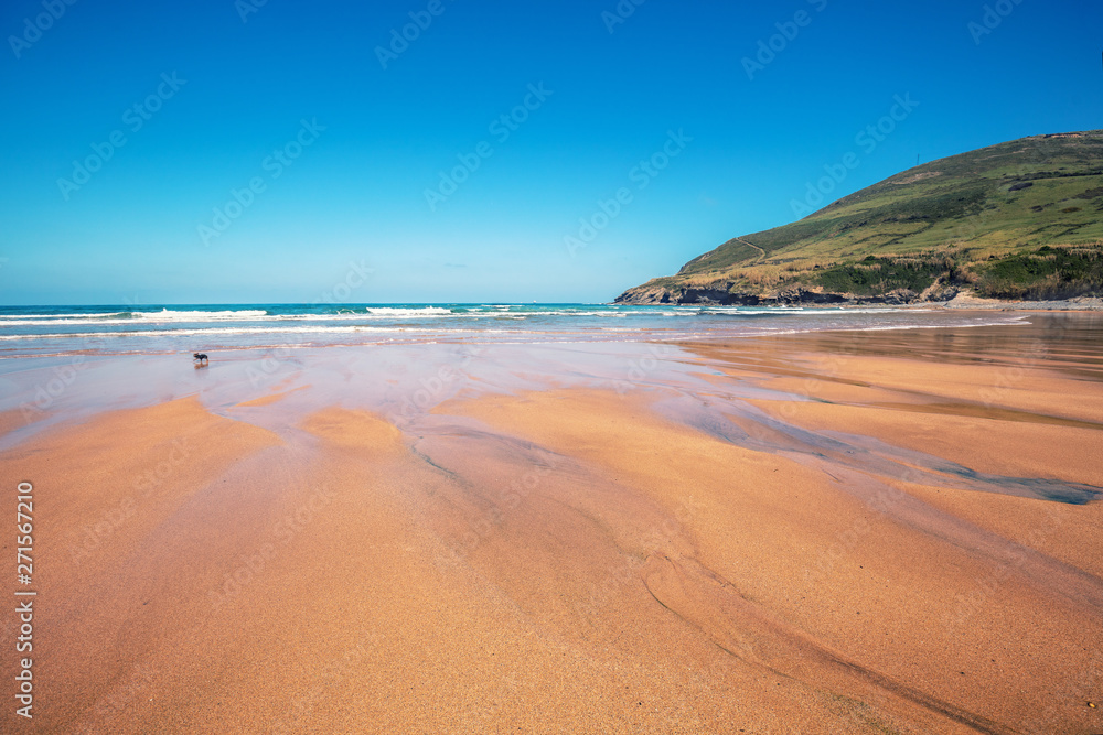 Sandy beach. Ocean on a sunny day