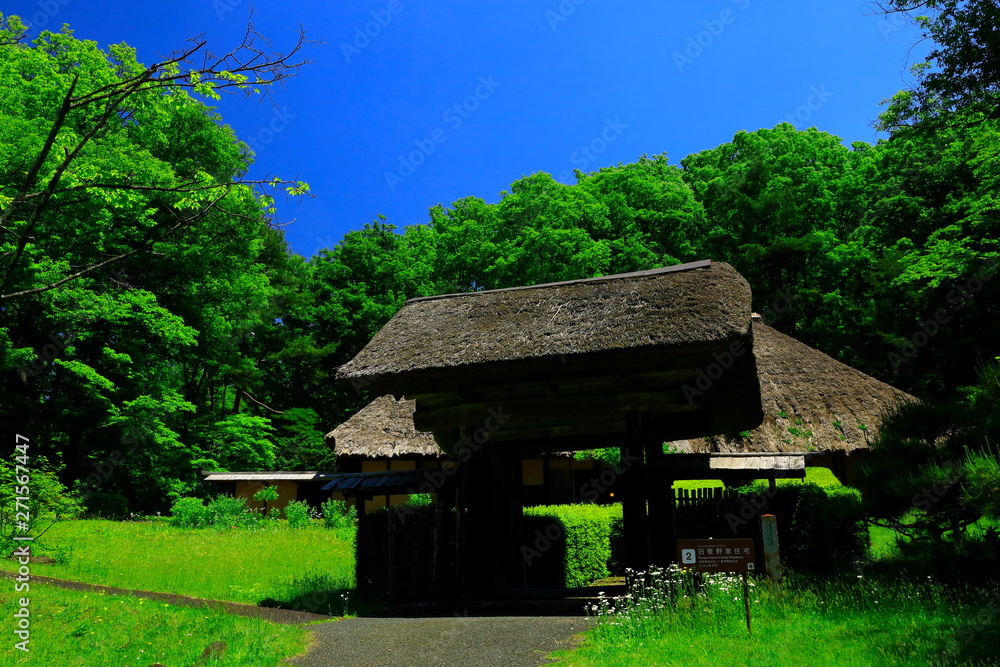 初夏のみちのく民俗村 初夏のみちのく民俗村