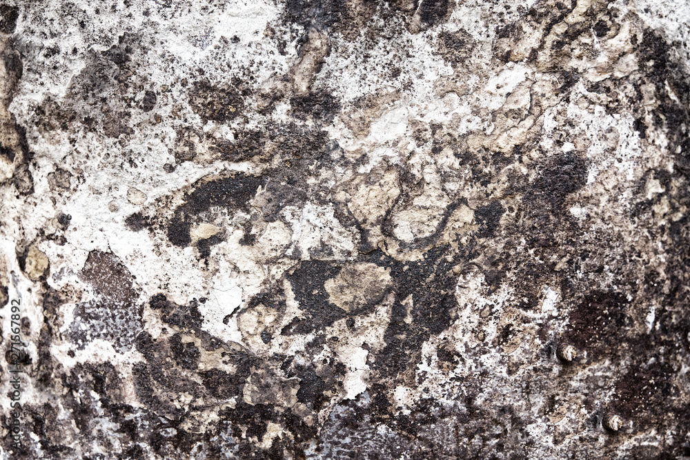 Fototapeta premium Struktur