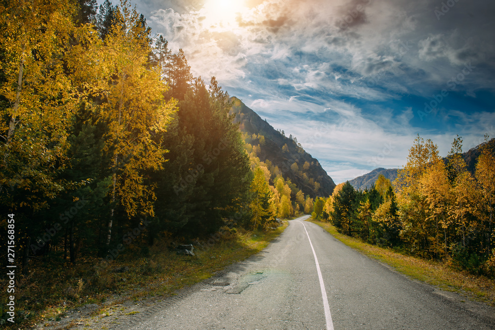 Naklejka premium Asphalt mountain road among the yellow autumn trees and high rocks, in the bright rays of the sun. Road trip to the most beautiful places in Russia.