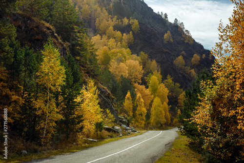 Asphalt mountain road among the yellow autumn birches and high rocks under beautiful cloudy sky.